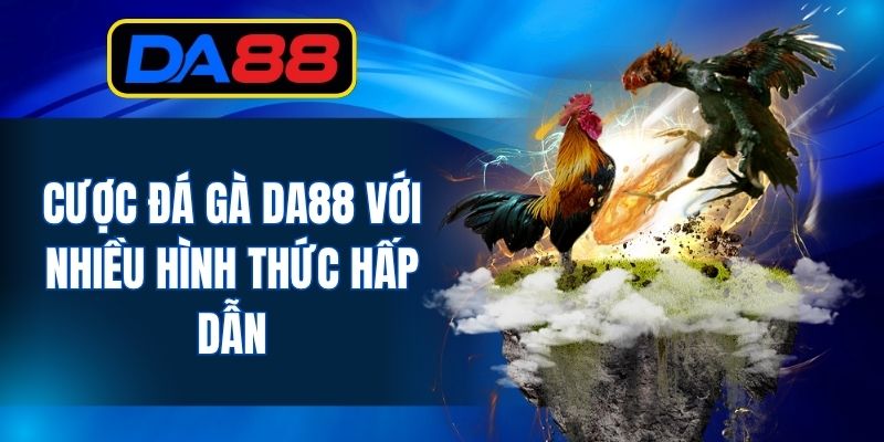 Cược đá gà DA88 với nhiều hình thức hấp dẫn